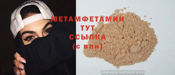 молекула духа Вяземский