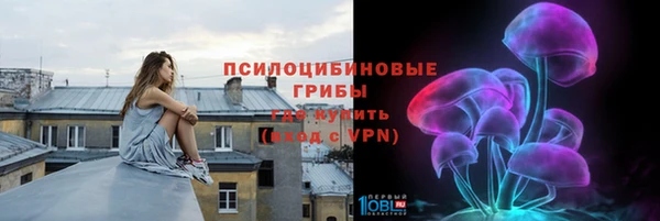 бутират Горнозаводск