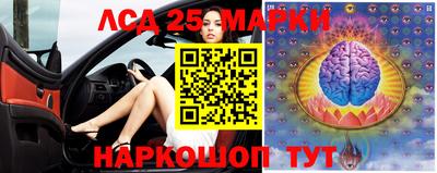 apvp Дубна