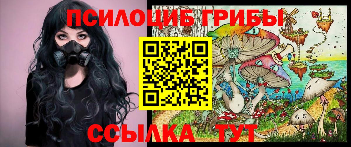Псилоцибиновые грибы Magic Shrooms Мценск