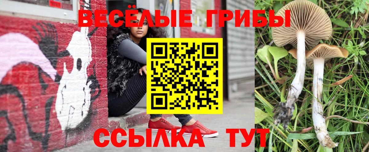 Псилоцибиновые грибы прущие грибы  Вход с VPN  Псилоцибиновые грибы Psilocybine cubensis  Мценск 